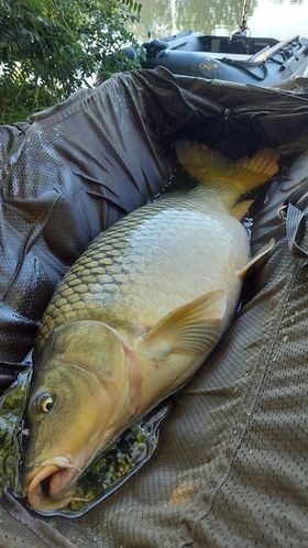 Lacul Varlaam 2020 - 1192395973491834696007314465308144819474238n.jpg